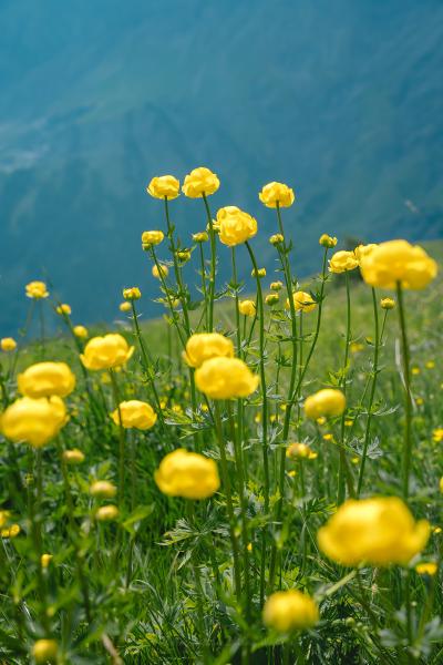 2025-06-21 Bardonecchia